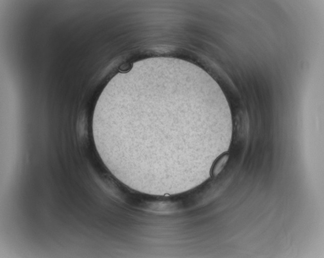 X0000115100212200911241240