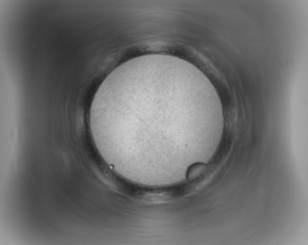 X0000115100213200911241240