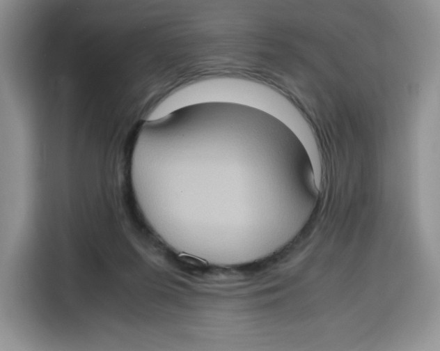 X0000115100215200911241240