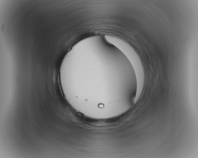 X0000115100219200911241240