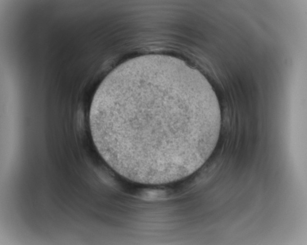 X0000115100220200911241240