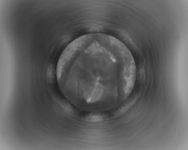 X0000115100228200911241240