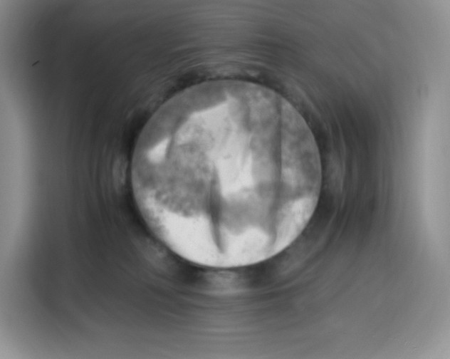 X0000115100230200911241240