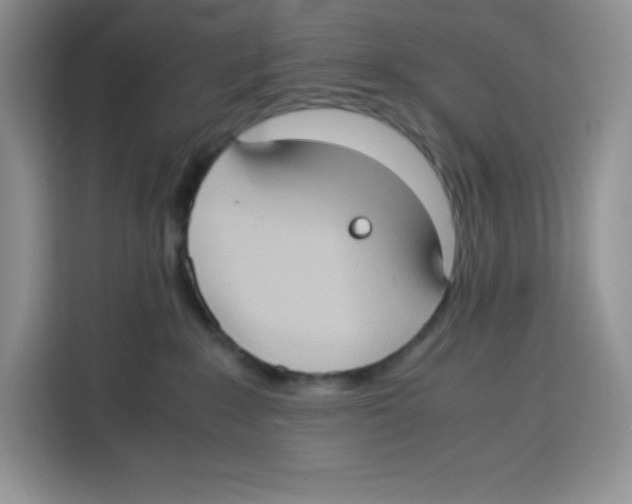 X0000115100235200911241240