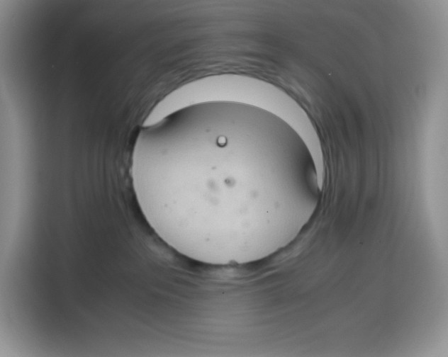 X0000115100237200911241240