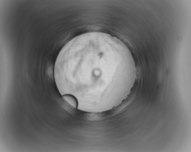 X0000115100238200911241240