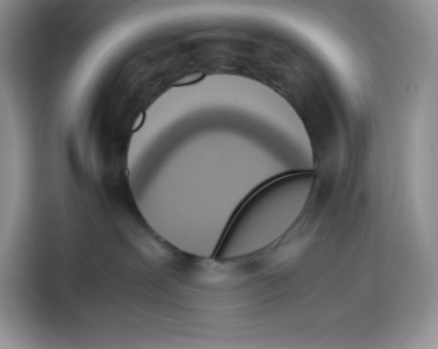 X0000115100239200911241240