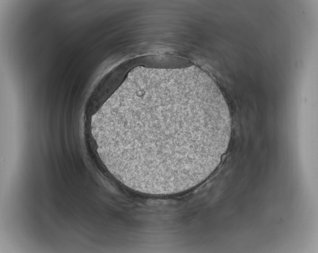 X0000115100242200911241239