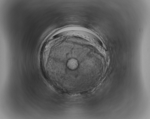 X0000115100243200911241239