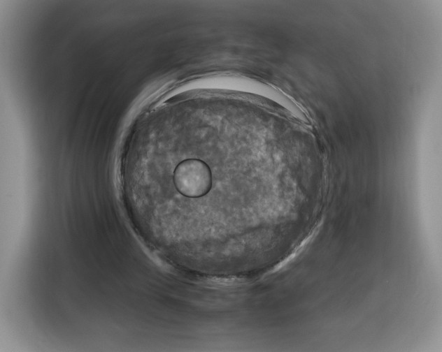 X0000115100245200911241239