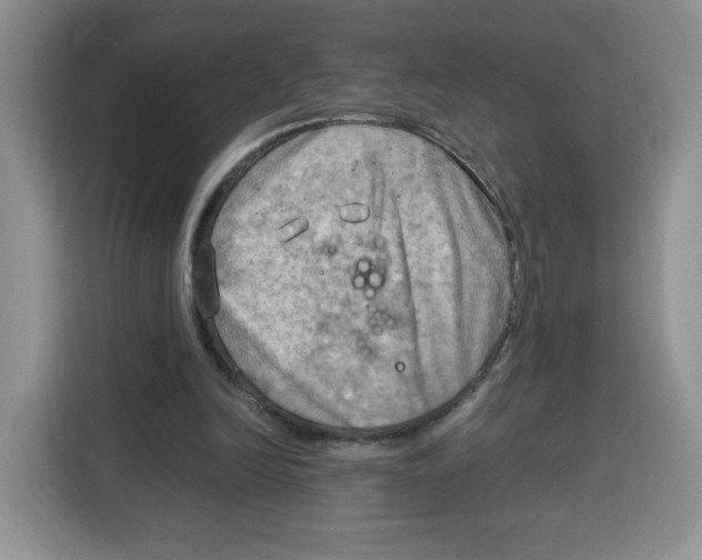 X0000115100246200911241239