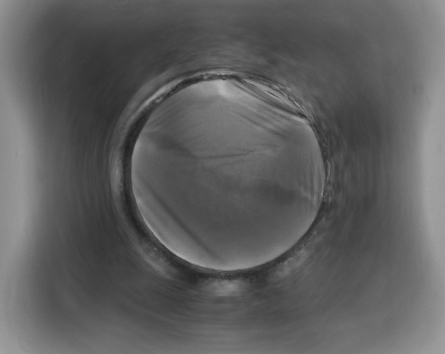 X0000115100247200911241239