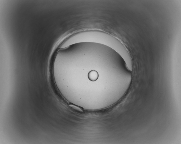 X0000115100248200911241239