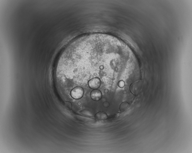 X0000115100250200911241239