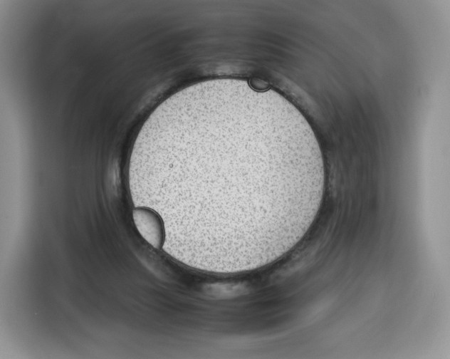 X0000115100251200911241239