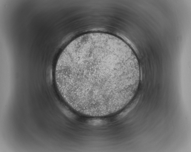 X0000115100253200911241239