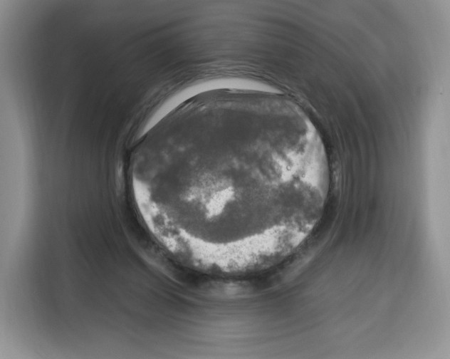 X0000115100254200911241239