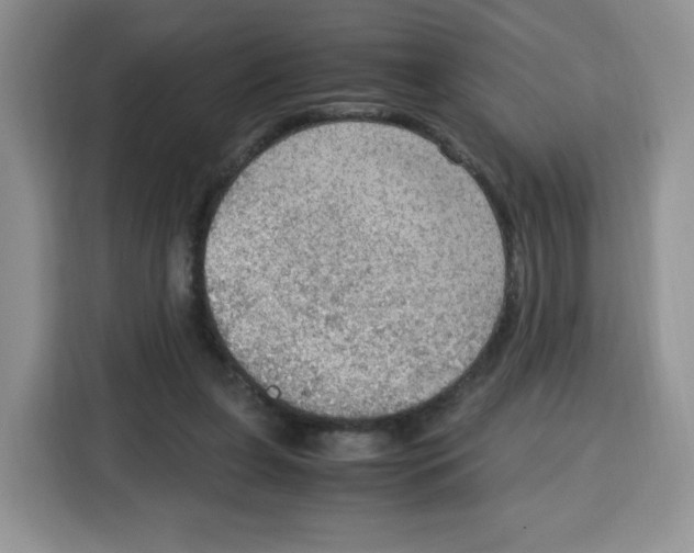 X0000115100255200911241239