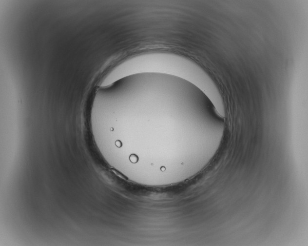 X0000115100256200911241239