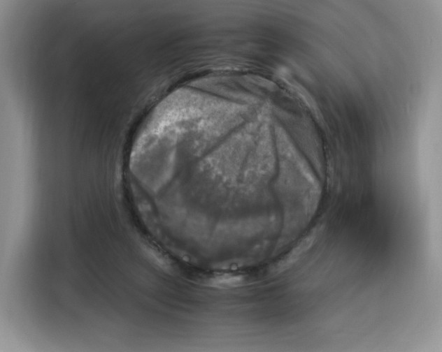 X0000115100257200911241239