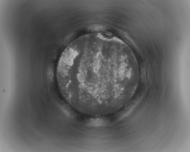 X0000115100259200911241239