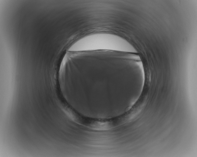 X0000115100260200911241239