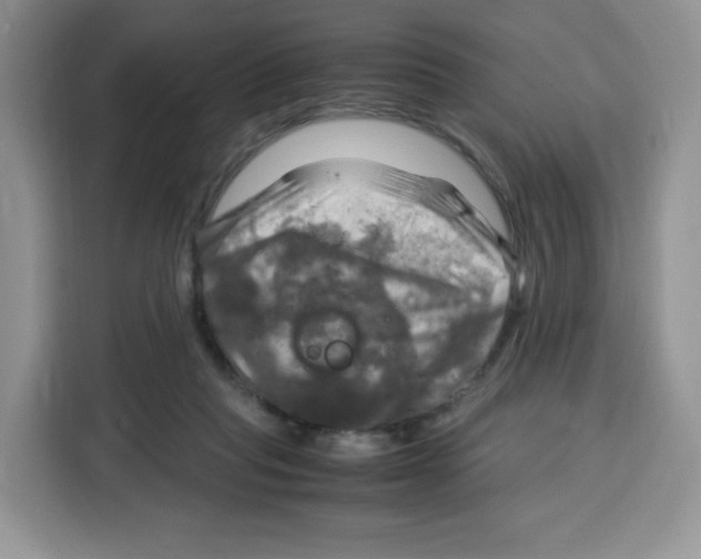 X0000115100261200911241239