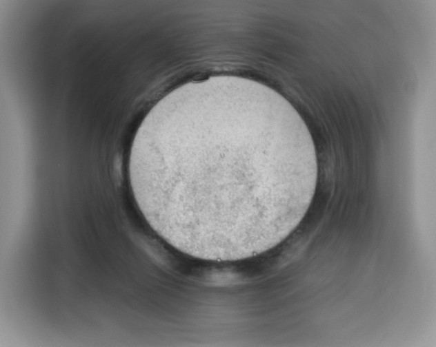 X0000115100262200911241239