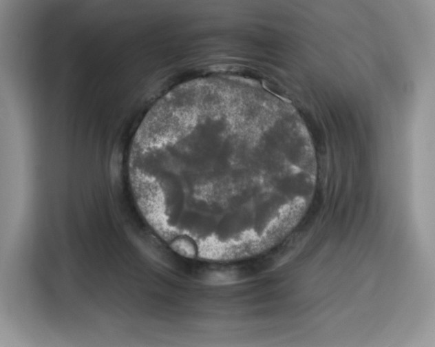 X0000115100263200911241239