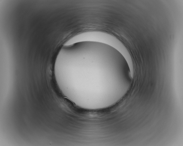 X0000115100264200911241239