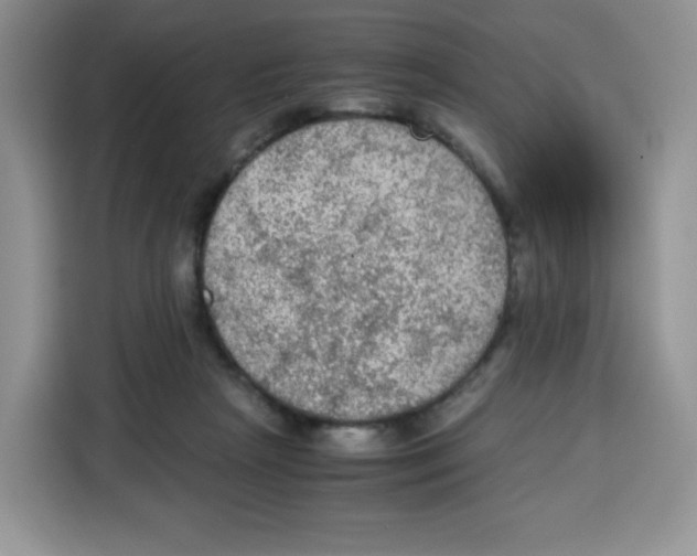 X0000115100265200911241239