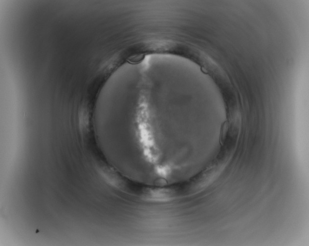 X0000115100268200911241239