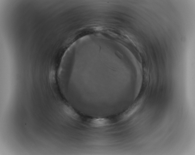 X0000115100269200911241239