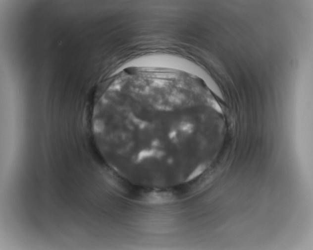 X0000115100270200911241239