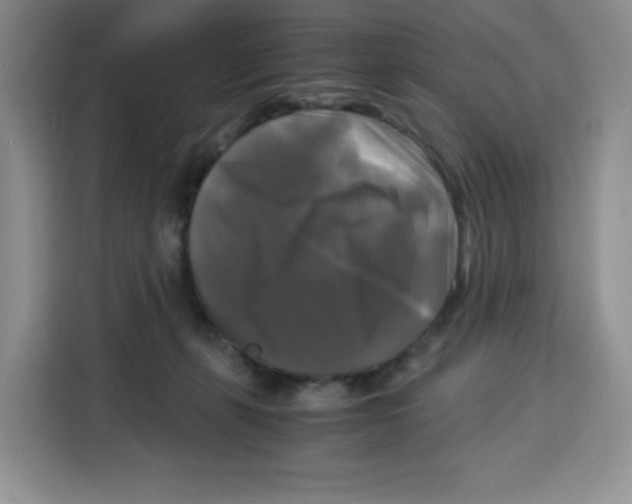 X0000115100271200911241239