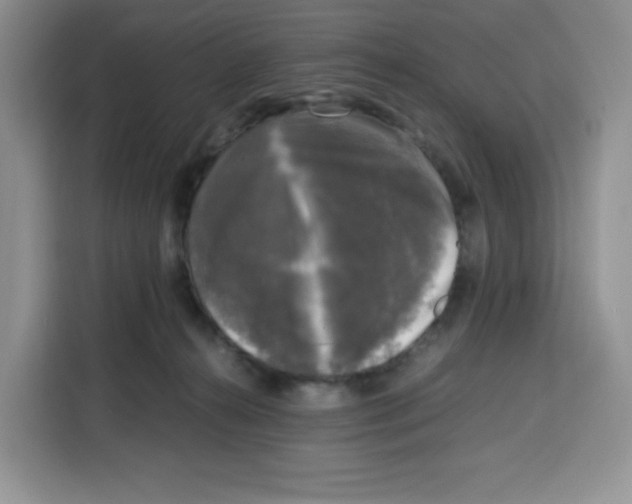 X0000115100272200911241239