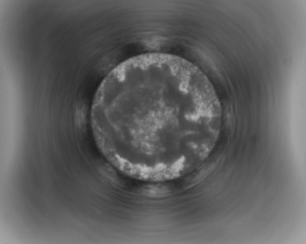 X0000115100275200911241239