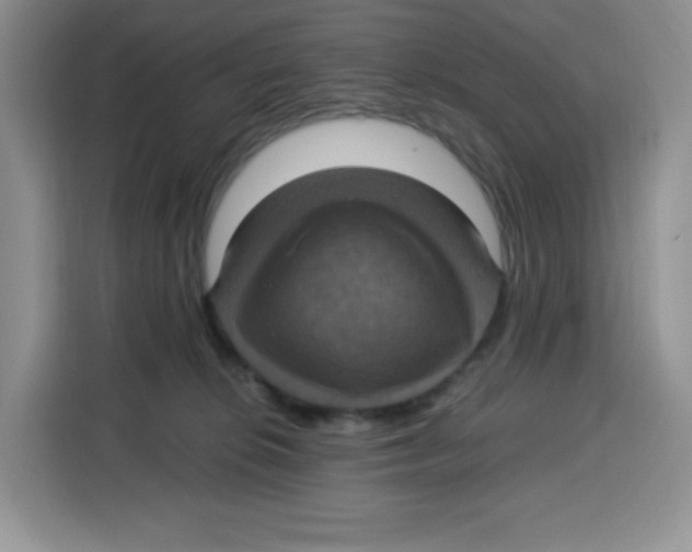 X0000115100276200911241239