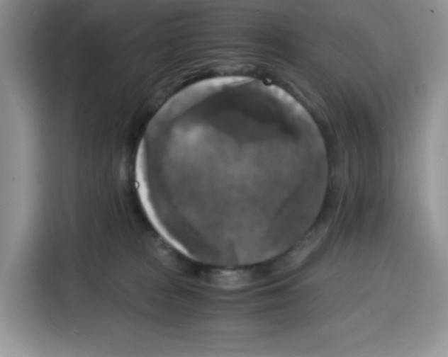 X0000115100277200911241239