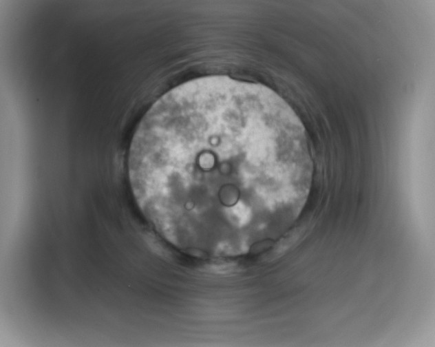 X0000115100278200911241239