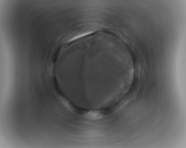 X0000115100280200911241239