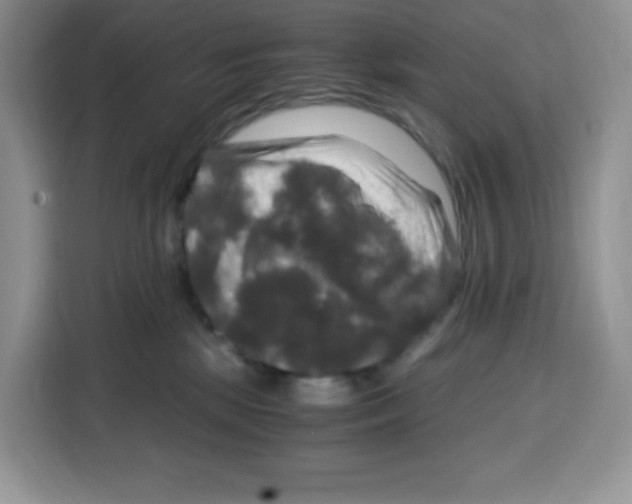 X0000115100281200911241239