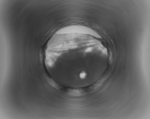 X0000115100282200911241240