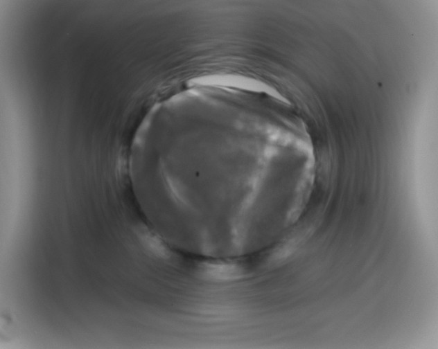 X0000115100284200911241240