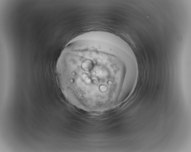 X0000115100285200911241240