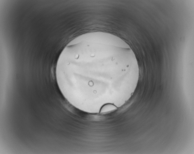 X0000115100286200911241240