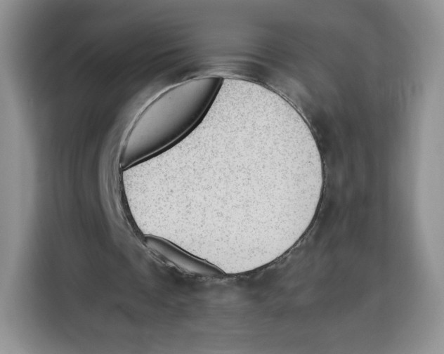 X0000115100289200911241239