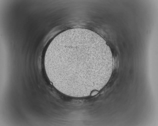 X0000115100291200911241239