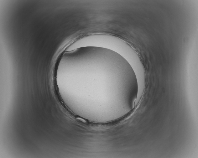 X0000115100293200911241239