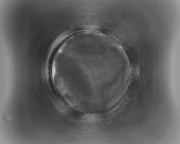 X0000115100294200911241239